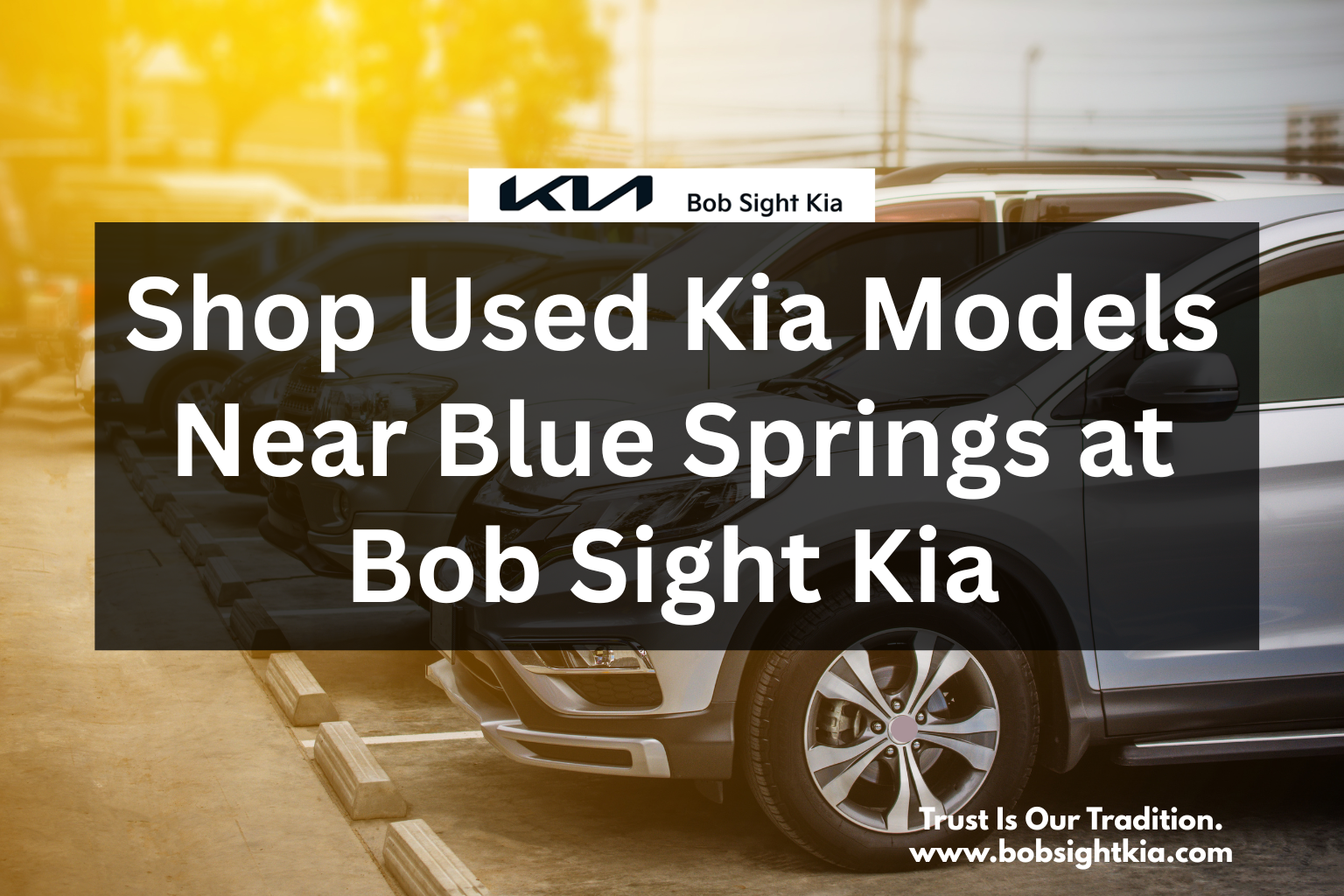 Bob Sight Kia used car lot featuring pre-owned Kia models, serving Blue Springs, Independence, Lee’s Summit, and the Kansas City Metro.